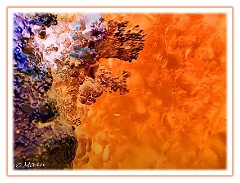 O - Lava